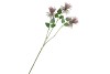 SILK TILLANDSIA BEAUTY 79CM