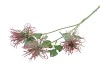 SILK TILLANDSIA BEAUTY 79CM