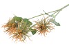 SILK TILLANDSIA ORANGE 79CM