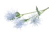 SILK TILLANDSIA LIGHT BLUE 79CM