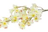 SILK WOLFBERRY WHITE 106CM NM