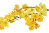 SILK WOLFBERRY YELLOW 106CM NM