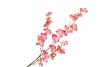 SILK WOLFBERRY PINK 106CM NM