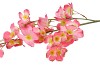 SILK WOLFBERRY PINK 106CM NM