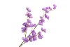 SILK WOLFBERRY PURPLE 106CM