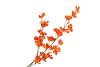 SILK WOLFBERRY ORANGE 106CM
