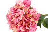 SILK HORTENSIA XL PINK 109CM