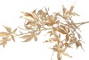 SILK MAPLE LEAVES GOLD 108CM