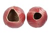MENTON TULIP VASE DARK PINK 24X24X33CM ASS P/1