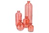 DRY GLASS CORAL BOTTLE 14X41CM NM