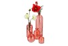 DRY GLASS CORAL BOTTLE 11X25CM NM