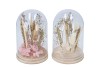 DRY FLOWERS STOLP NATURAL/BLEACHED 2ASS 10X16CM