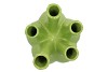 AGLIO VAAS SHINY APPLE GREEN 26X35CM