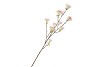 SILK CORNUS ROZE 113CM
