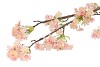 SILK CORNUS ROZE 113CM