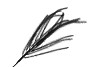 SILK PLUME BRANCH XL BLACK 150CM