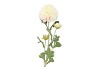 SILK DAHLIA 3X WHITE 65CM NM