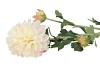 SILK DAHLIA 3X CREME 65CM NM