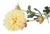 SILK DAHLIA 3X PEACH 65CM NM