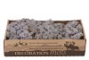 MOS ICELAND LAVENDEL 500GRAM NM