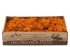 MOS ICELAND ORANJE 500GRAM