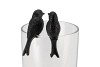 HUMMINGBIRD ZWART ZITTEN ASS P/1 4X3X7CM NM