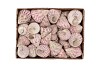 SHELLS TROCHUS MACULATOS 1130GR