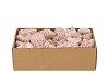 SHELLS TROCHUS MACULATOS 1130GR