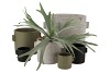 CONCRETE EARS GREY POT 11X8CM NM
