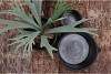 CONCRETE EARS BLACK POT 19X15CM NM