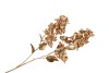 SILK DYE GOLD BOUGAINVILLE 106CM