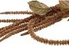 SILK DYE GOLD AMARANTHUS 132CM