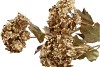 SILK DYE GOLD VIBURNUM 3X 67CM