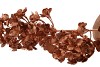 SILK DYE COPPER HORTENSIA 3X 87CM