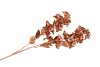 SILK DYE COPPER BOUGAINVILLE 106CM