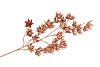 SILK DYE COPPER CLEMATIS 5X 63CM
