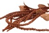 SILK DYE COPPER AMARANTHUS 132CM