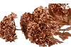 SILK DYE COPPER VIBURNUM 5X 87CM