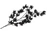 SILK DYE BLACK CLEMATIS 5X 63CM
