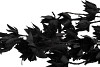 SILK DYE BLACK CLEMATIS 5X 63CM