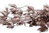 SILK DYE CHAMPAGNE CLEMATIS 5X 63CM