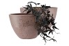 HAVANA BOWL OVAL OLD PINK 39X19X27CM