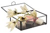 AMBER BOX GLAS BLACK 18X12X6CM P/1 NM