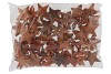 NATURE COCONUT NATURAL MISTY 10CM P/50