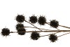 SILK PLANTANE BRANCH BLACK GLITTER 75X20X5CM