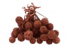 DRY PLATANE COPPER PER BUNDEL