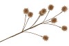 SILK PLANTANE BRANCH GOLD GLITTER 75X20X5CM