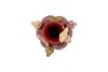 BIRD VASE BORDEAUX 12X12X15CM