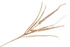 PINE GRASS DUBBEL GOLD L100 CM