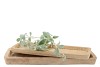 WOOD NATURAL TRAY RECTANGLE 55X21X4CM S/2 NM